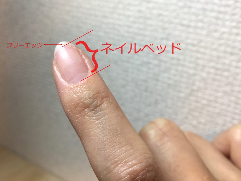 短い爪とさよなら セルフで深爪矯正 失敗しない深爪の治し方 2020年版 ジェルネイルキットランキング プロおすすめの初心者セルフキットはコレ